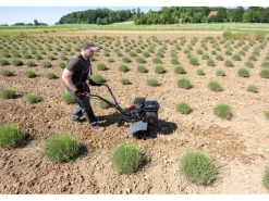 Motorhacke MH 540 Comfort mit ergonomischem Führungsholm*Al-Ko