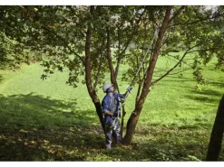 Alpina-Garden Heckenscheren|Freischneider|Alpina Benzin-Multi-Tool AMT 26 5 in 1