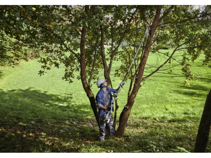 Alpina-Garden Heckenscheren|Freischneider|Alpina Benzin-Multi-Tool AMT 26 5 in 1