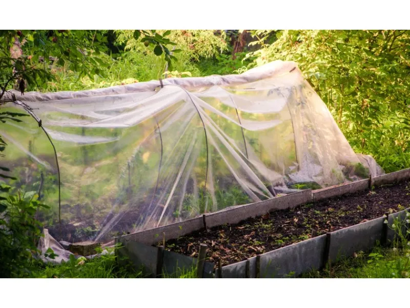 14m Gartenfolie Gewächshausfolie UV 5 Frühbeetfolie Treibhausfolie 6m Breit*Aquagart Discount