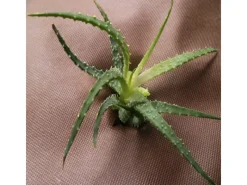 252m² Gartenvlies Unkrautvlies Mulchvlies 80g 1,8m Breit Braun*Aquagart Clearance