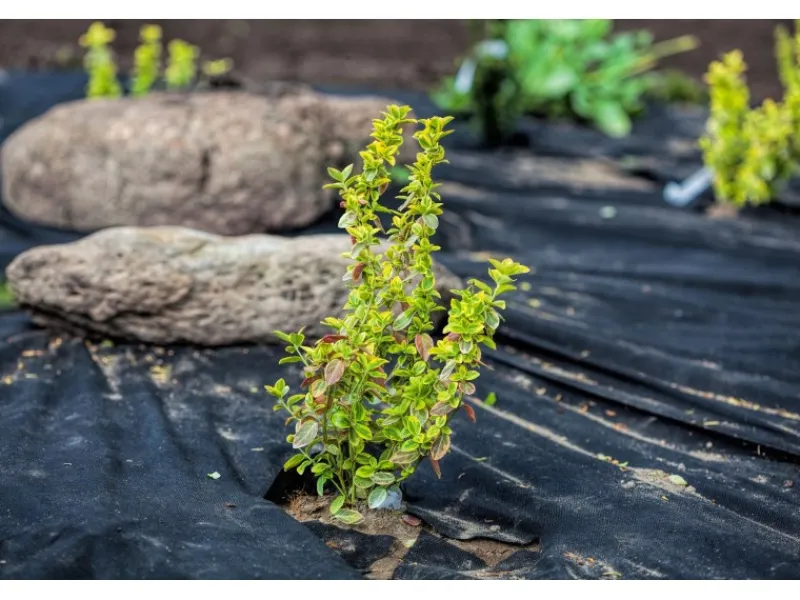 112,5m² Gartenvlies Unkrautvlies Unkrautfolie Mulchvlies 150g/m² 1,5m Breit*Aquagart Outlet