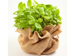 65m x 1m Jutegewebe 105g/m² Jutematte Gartenjute Jute Stoff Sackleinen Juteband*Aquagart Best