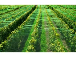 Teichnetz 5m x 10m Laubnetz Silonetz Laubschutznetz Vogelschutznetz Teichschutz*Aquagart