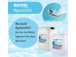 Algizid Algenverhütung 24 x 20l*Bayzid
