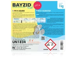 pH Plus Flüssig 240 x 1kg*Bayzid Discount
