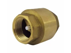 RüCkschlagventil 2 Zoll  Messing Feder Innengewinde*boni-shop Sale