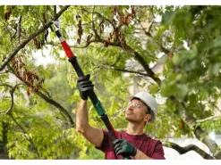 Bosch Gartenscheren|Baumscheren|Akku-Baumschere Advanced Prune 18V-45 mit Akku, Ladegerät und Verlängerung