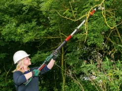 Bosch Gartenscheren|Baumscheren|Akku-Baumschere Advanced Prune 18V-45 mit Akku, Ladegerät und Verlängerung