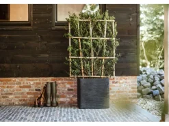 Gießkanne Lungo 12 l*Capi Online