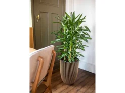 Capi Balkonmöbel|Pflanzgefäß Elegant Niedrig Groove Ø 46 cm x 58 cm Schwarz