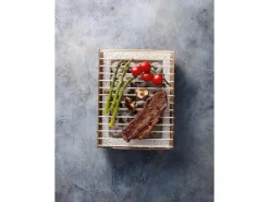Casusgrill Einweggrill 31 cm x 26 cm x 6 cm* Sale
