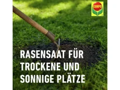 Compo Rasenwalze|Gartenwalze|Saat® Trocken-Rasen 2 kg für 80 m²