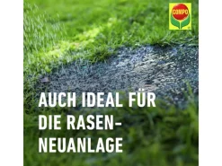 Compo Rasenwalze|Gartenwalze|Saat® Trocken-Rasen 2 kg für 80 m²