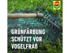 Compo Rasenwalze|Gartenwalze|Saat® Trocken-Rasen 2 kg für 80 m²