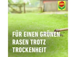 Compo Rasenwalze|Gartenwalze|Saat® Trocken-Rasen 2 kg für 80 m²