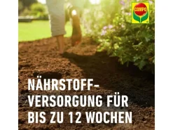 Compo Hydrokultur|Sana Qualitäts-Blumenerde 1 x 70 l
