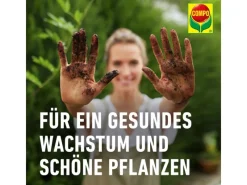 Compo Hydrokultur|Sana Qualitäts-Blumenerde 1 x 70 l