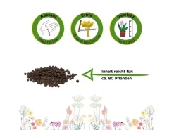 Deine Gartenwelt Spaten|Kohlrabi Superschmelz Samen