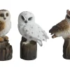 Sunny Garden Gartenbänke|Gartendekoration|Deko-Figur Eule auf Stumpf 15 cm