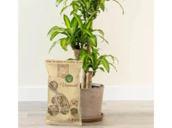 Dr.Soil Hydrokultur|Premium Vermiculite Bodenmineralisierer 1L Beutel