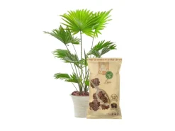 vulkanische Lava für eisenarme Böden im 1L Beutel*Dr.Soil