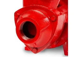 Eberth Wasserpumpe|Wasserpumpe 1 Zoll Anschluss 750 W 8m Ansaughöhe 50m Förderhöhe 2400 L/h für Klares Wasser