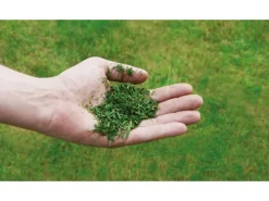 Benzin-Rasenmäher GC-PM 56/2 S HW*Einhell New