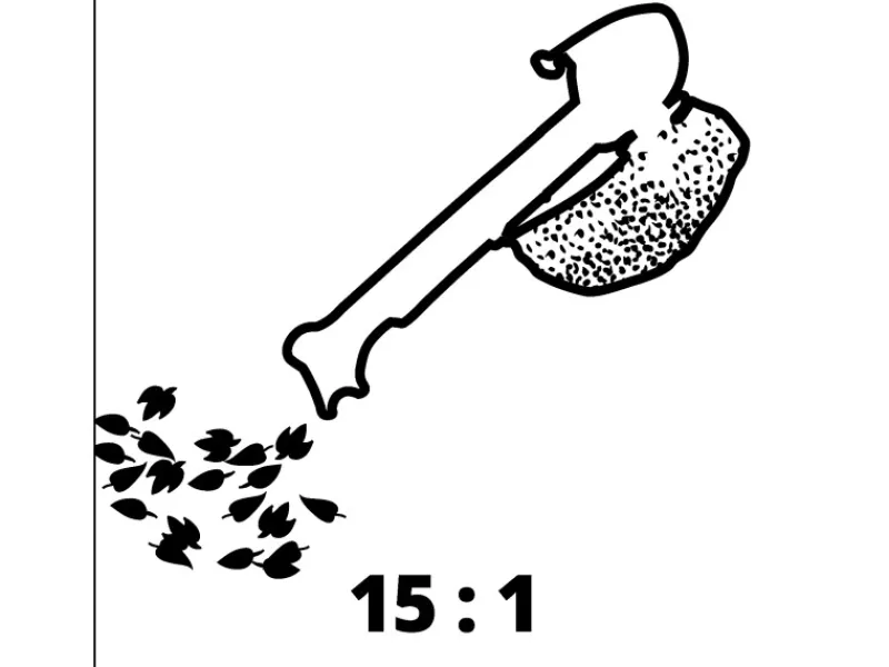 Elektro-Laubsauger GC-EL 3000 E*Einhell Sale