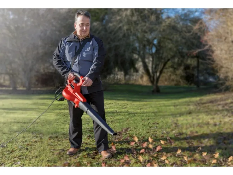 Elektro-Laubsauger GC-EL 3000 E*Einhell Sale