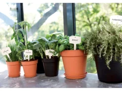 Elho Hydrokultur|Anzuchttopf Green Basics Ø 40 cm living