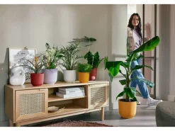 Blumentopf Jazz Ø 14,2 cm x 13,1 cm*Elho Discount