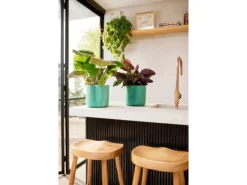 Blumentopf Ocean Collection Ø 18 cm*Elho Best