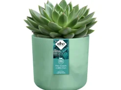 Blumentopf Ocean Collection Ø 18 cm*Elho Best