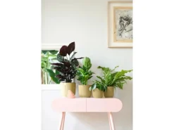 Elho Hydrokultur|Blumentopf Vibes Fold Ø 14 cm x 13 cm