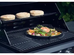 ® Guss-Pfanne Switch Grid*Enders Online