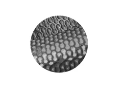 Pool Abdeckung|Evolution Solarplane Rund 550cm EnergyGuard 500µm Geobubble Algenhemmung Folie