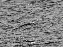 Exit Toys Trampoline|EXIT Trampolin Abdeckplane D366cm