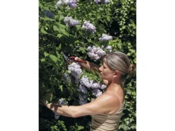 Einhand-Baum-, Reb-, Gartenschere 160L für Große Hände*Felco Best