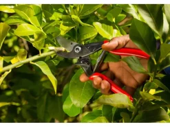 Einhand-Baum-, Reb- und Gartenschere 5*Felco Outlet