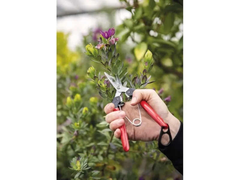 Felco Gartenscheren|Baumscheren|Ernte- und Leseschere 322 mit Stahlgriffen 19 cm