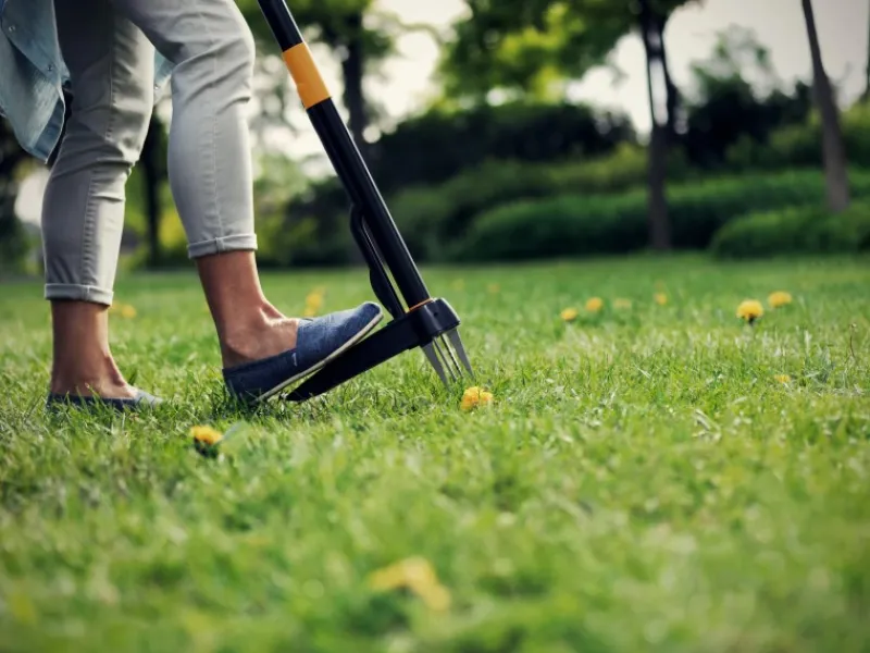 Fiskars Bodenbearbeitung|Unkrautstecher Xact