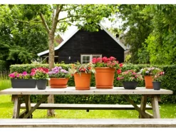 Balkonkasten Original Super 80 cm anthrazit*Florus Outlet