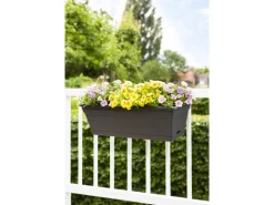 Florus Balkonmöbel|Blumenkasten-Set 28 cm x 50 cm x 20 cm