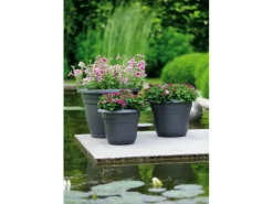 Florus Hydrokultur|Pflanztopf Fiore Alessia Ø 26 cm