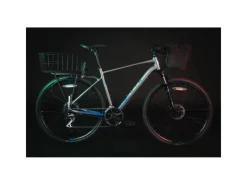 Fahrrad Drahtkorb XXL*FORCE