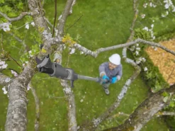 Gardena Kettensägen|Baumscheren|Akku-Teleskop-Baumschere HighCut 360/18V P4A Ready-To-Use Set