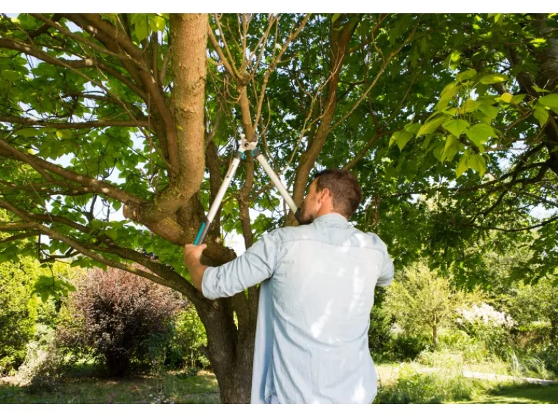 Astschere EasyCut 680 A Amboss-Schneideprinzip 40 mm Schnittstärke*Gardena Sale