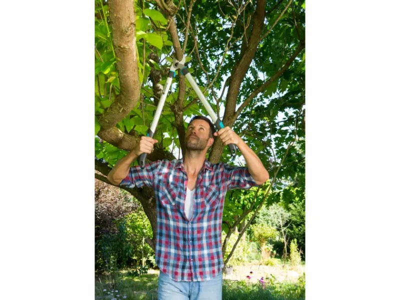 Gardena Gartenscheren|Baumscheren|Astschere EasyCut 680 B Bypass-Schneideprinzip mit Gartenschere