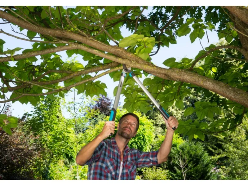 Gardena Gartenscheren|Baumscheren|Astschere EasyCut 680 B Bypass-Schneideprinzip mit Gartenschere